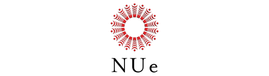 e-learning NUe